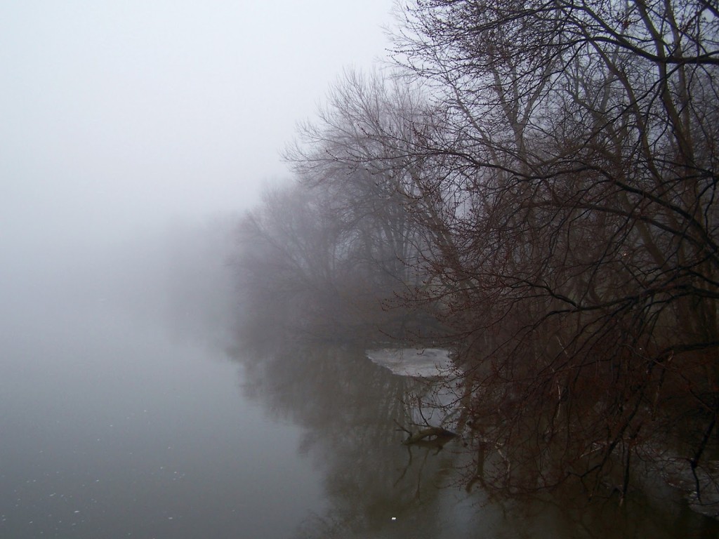 Early on a misty, Spring morning, trees recede into fog along the shoreline.
