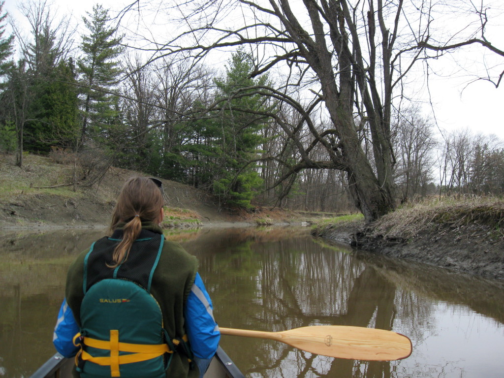 A warmly dressed woman sits in the bow of a canoe as it glides up Green's Creek on a grey, Spring day.