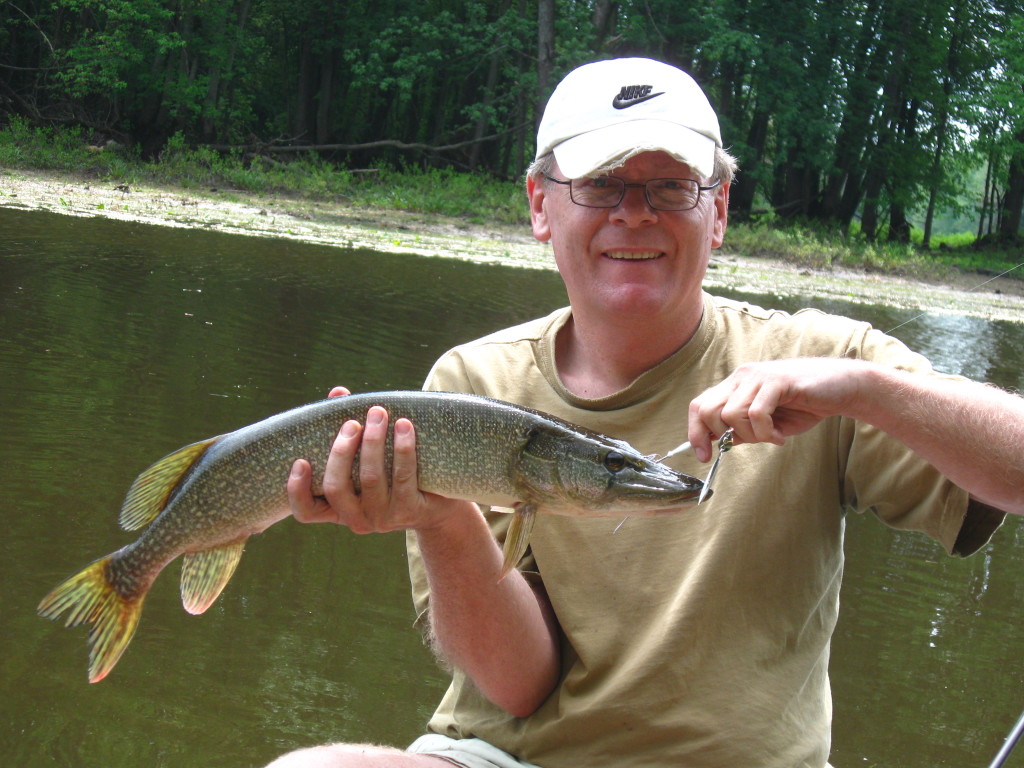 The author of the blog sits in the stern of a canoe, holding a small pike that he has caught on a spinnerbait.