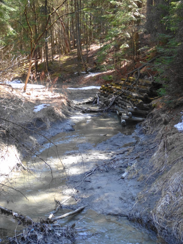 A protective crib wall protects a small section of bank along Bilberry Creek.