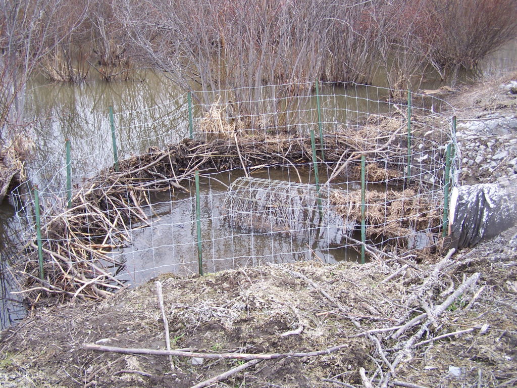 A beaver deceiver protects road culvert.