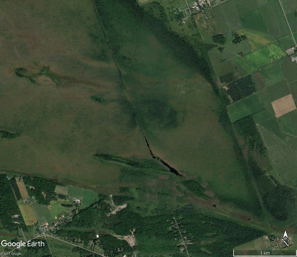An aerial photograph shows a long ditch bisecting the Mer Bleue bog.