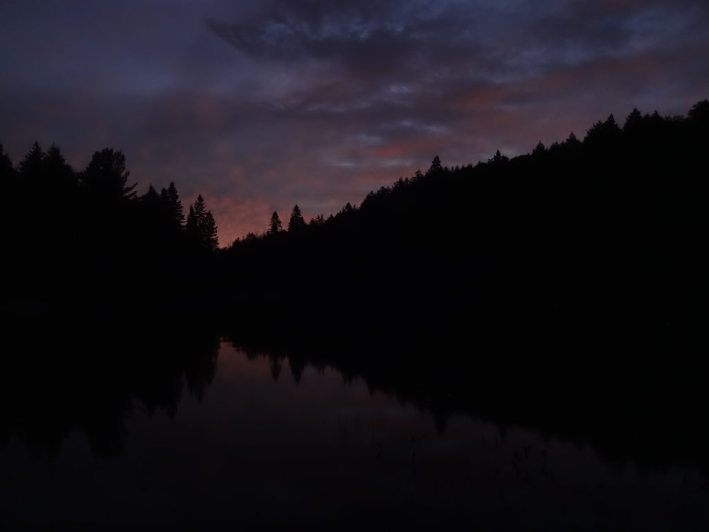 A faint peach light seeps above dark trees as dawn begins on Head Lake.