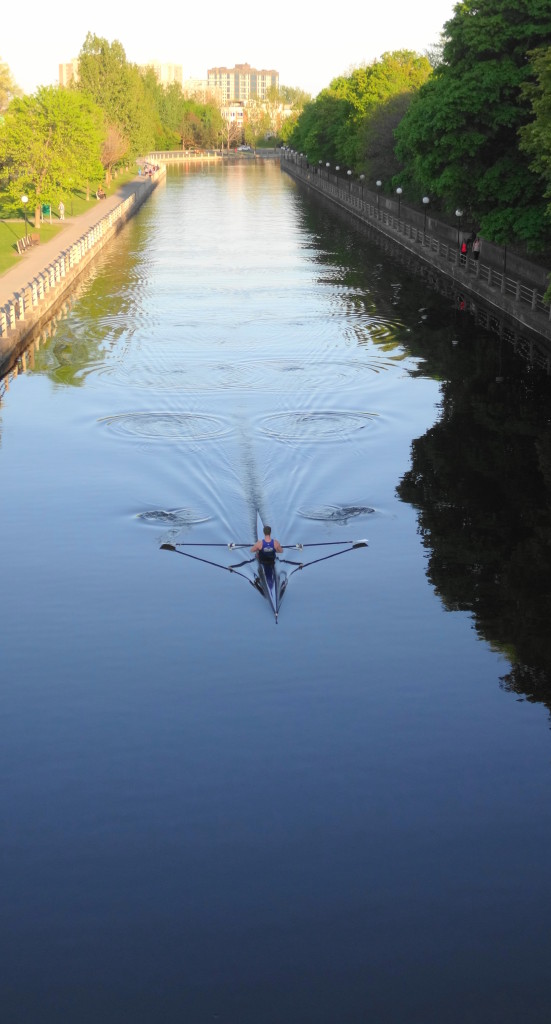 A single rower propels his scull under the Corkstown Bridge on the Rideau Canal