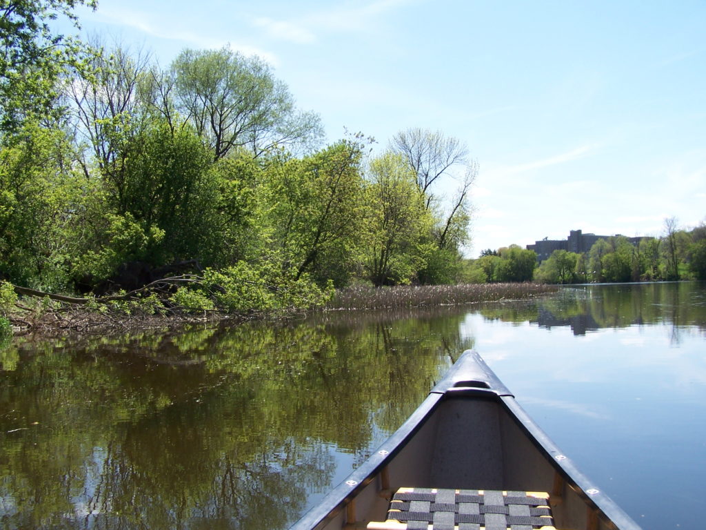 The bow of a canoe points along the shoreline of the Rideau River