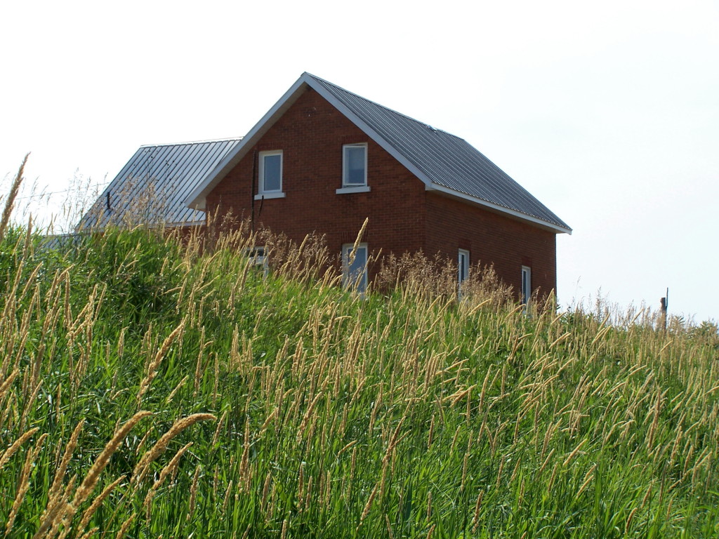 Country scenery