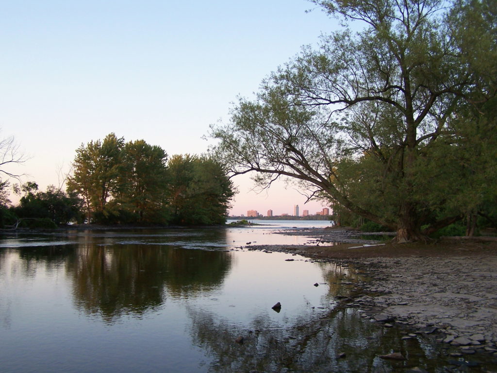 The placid waters of the Ottawa River near Mud Lake reflect sunset's glow and shoreline trees.