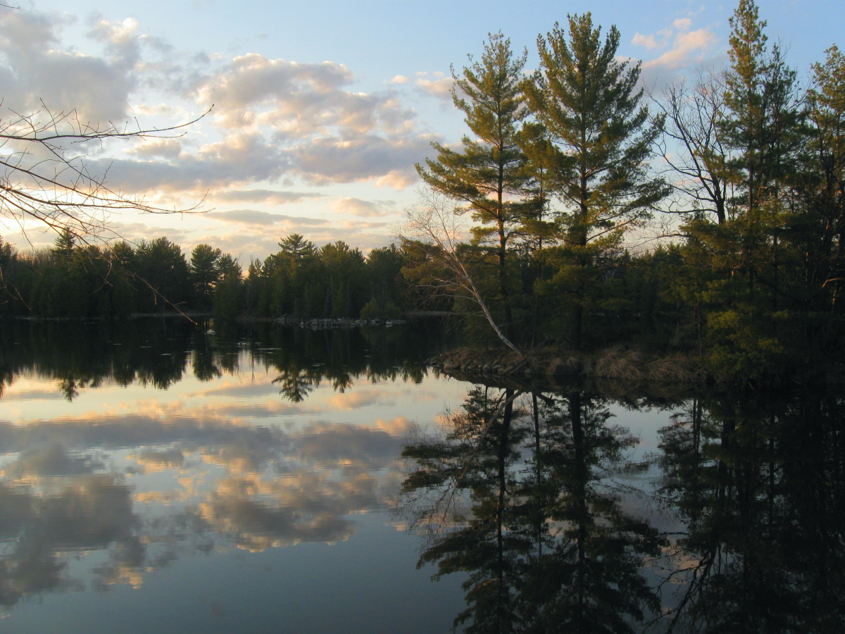 Morris Island Reflections | Naturally Ottawa