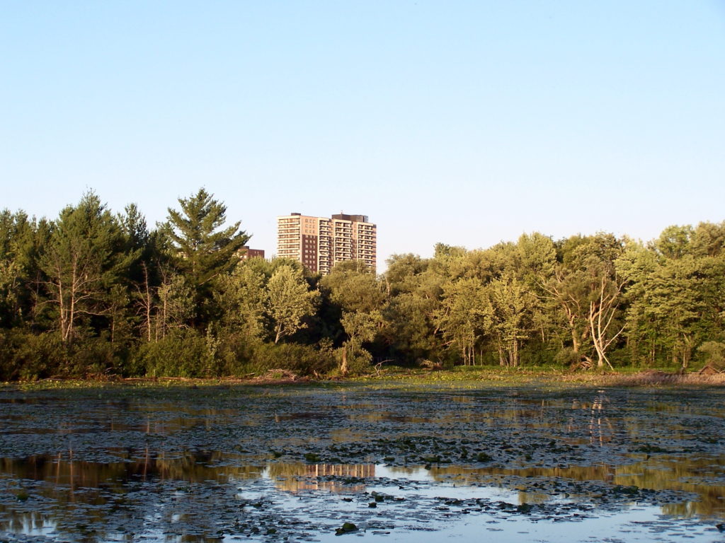 A single tower rises beyond Mud Lake and a line of trees.
