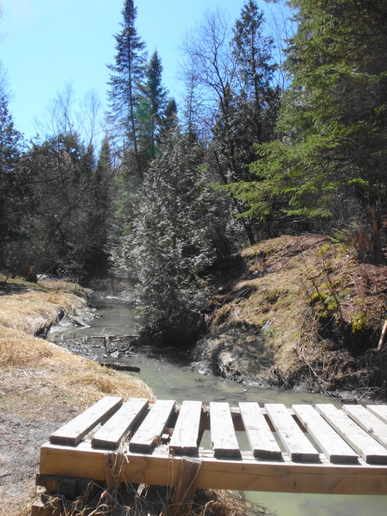 A slatted footbridge crosses Bilberry Creek.