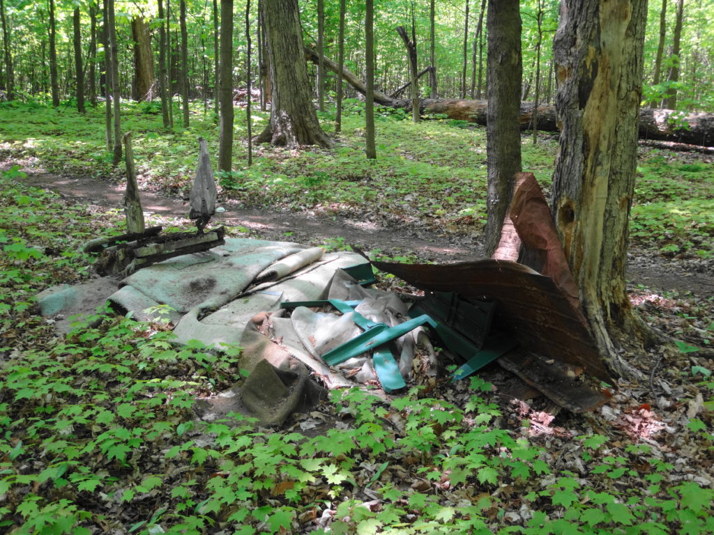 A pile of trash lies along a path in Chapman Mills East