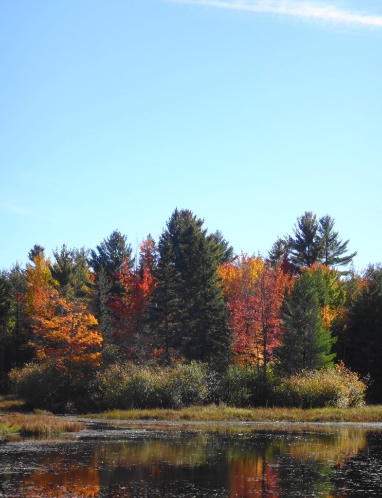 Autumn foliage glows red and gold along the edge of the Big Pond.
