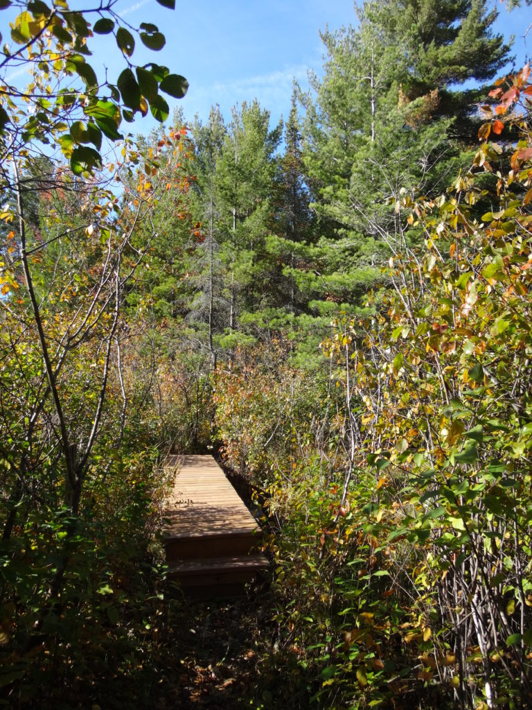 A short bridge crosses a watercourse along the Crazy Horse Trail.