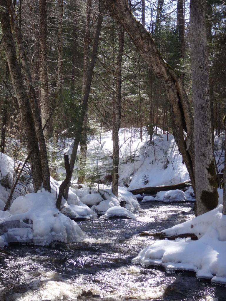A forest creek runs swiftly between snow and ice-covered banks on a warm, late-winter day.