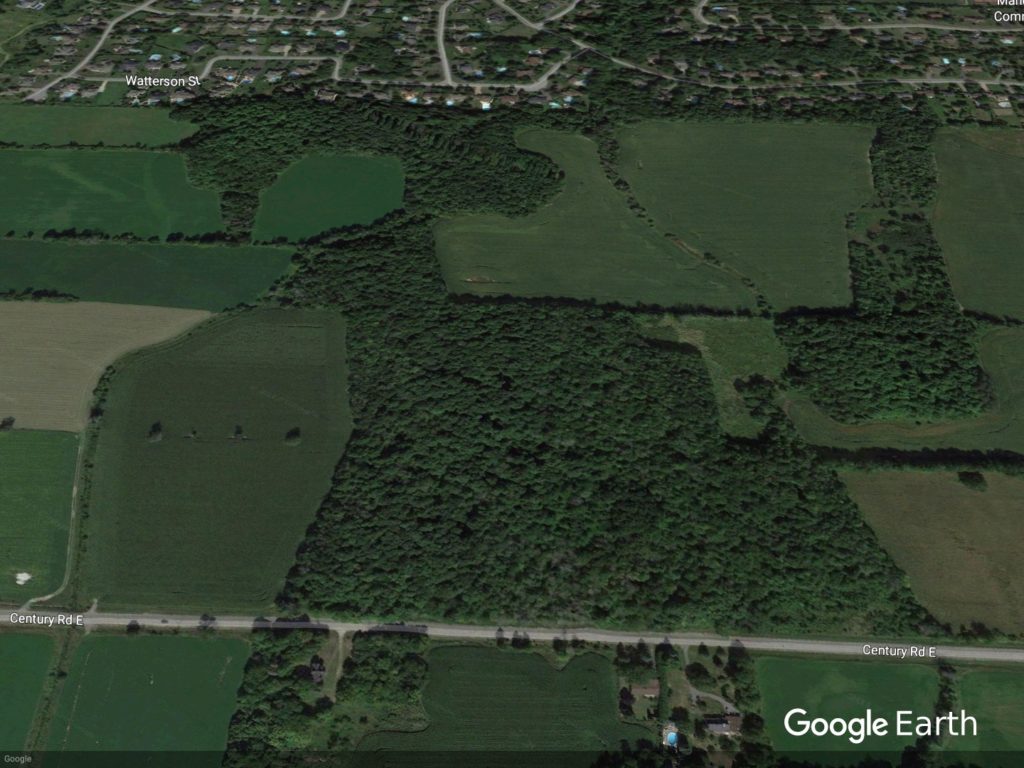An aerial view of the Manotick Drumlin Forest.