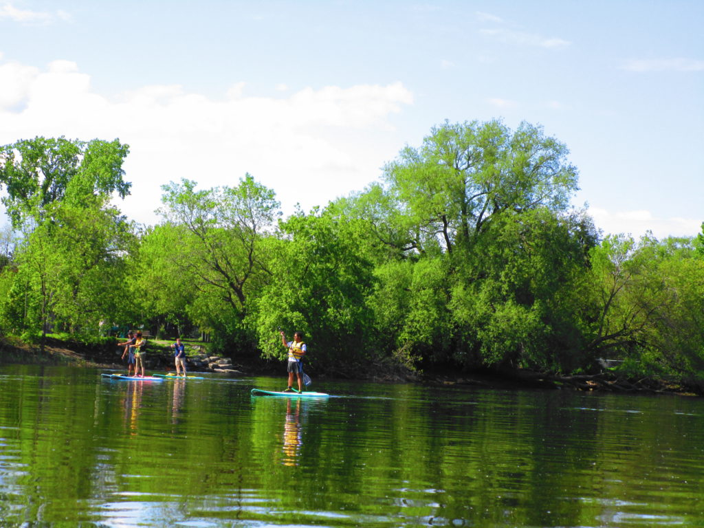 A group of four strand-up paddlerboarders cruuise up the Rideau River.