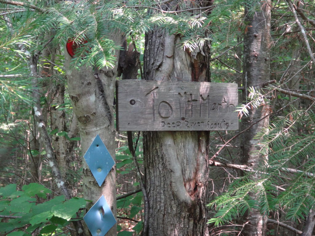 A weathered, wood sign attached to a tree marks the trailhead to Mount Martin.