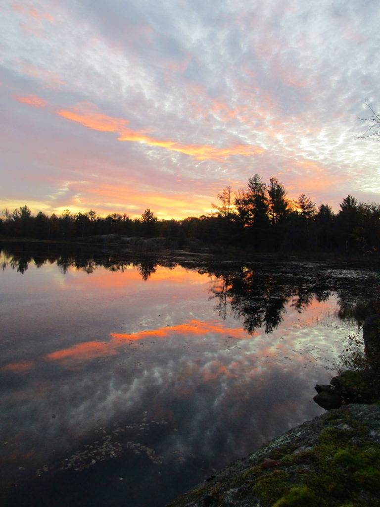 Dawn colours reflect in the still water of Lovers Pond in the Carp Hills.