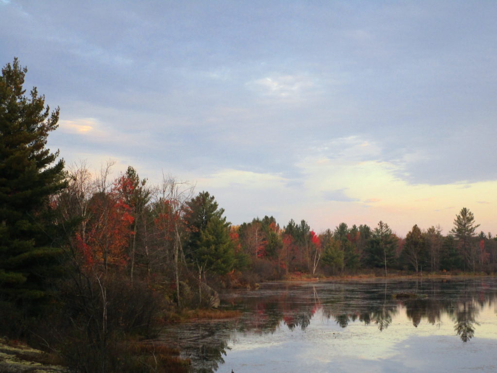 Sunrise touches the autumn trees along the Lovers Pond.