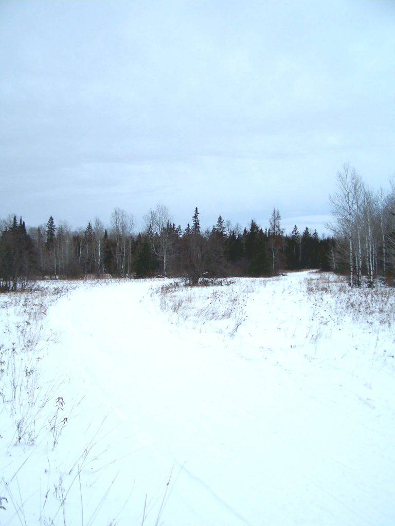 A snowmobile trail crosses a field in the Marlborough Forest.