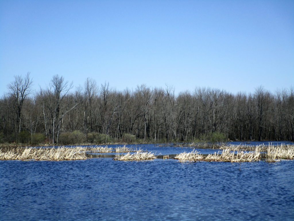 A wide lake of floodwaters spreads toward a distance stand of trees beside the Jock River.