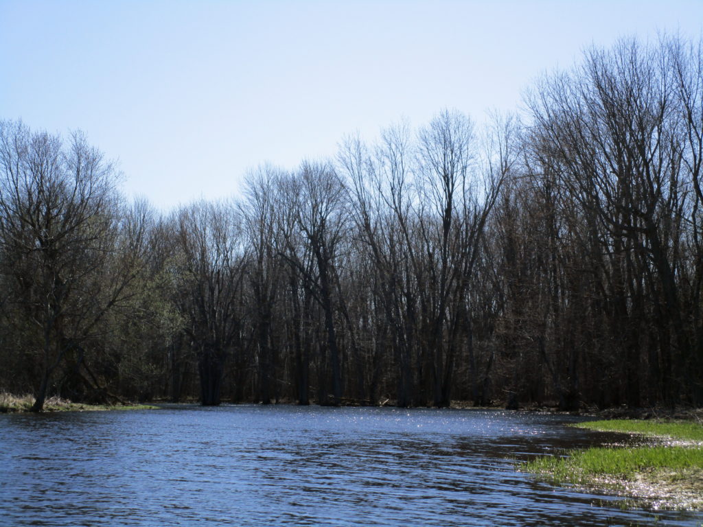 Looking downstream, the river channel curves into a dark band of bare trees.