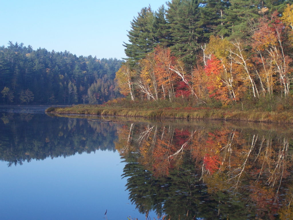 Red and gold trees stand on the shoreline of the Barron River, reflected in the calm water.