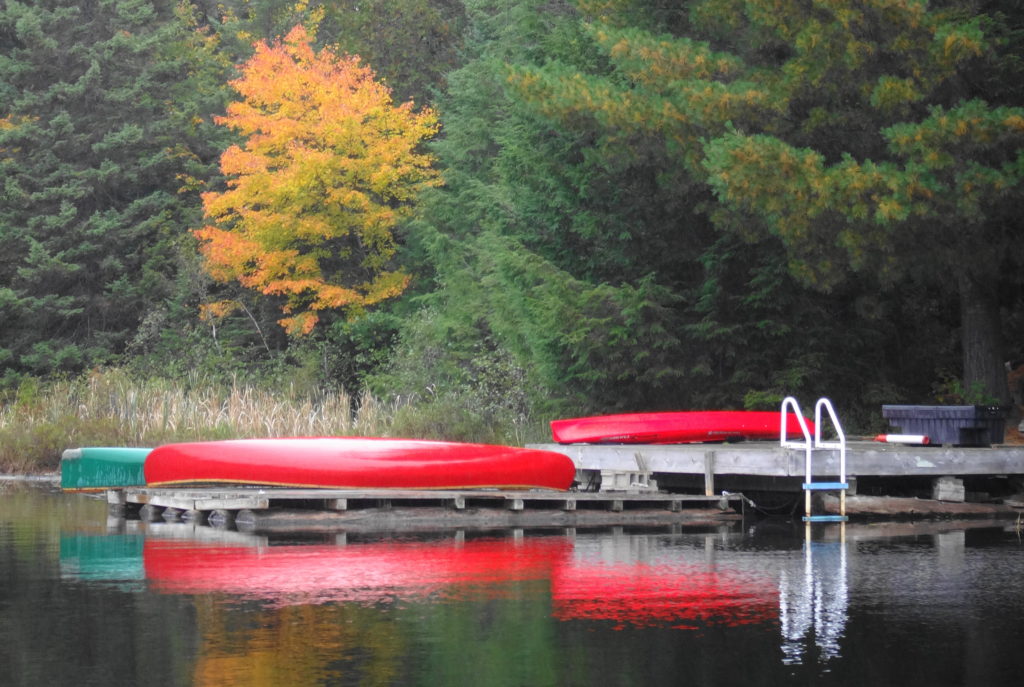 A golden maple and red canoes reflect in the water of Canoe Lake.