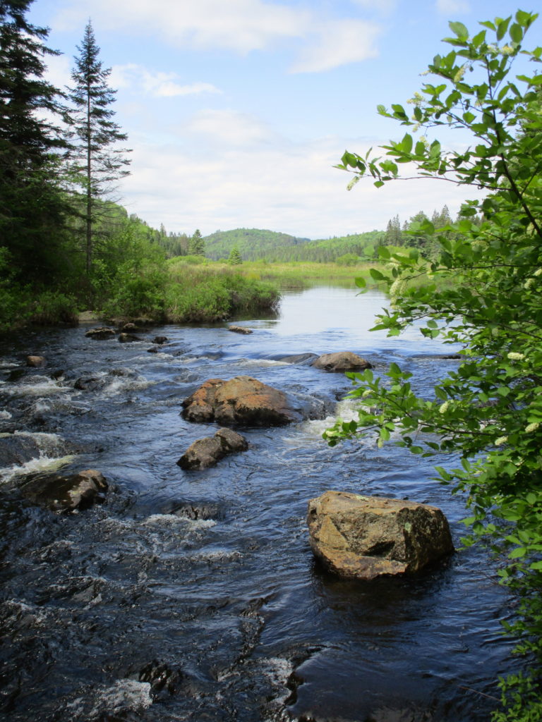 The south branch of the Madawaska River bubbles over rocky shallows.